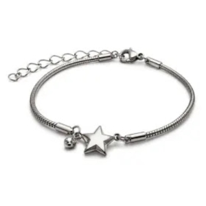 Aço Pulseira Estrela Brilho de Zircônia